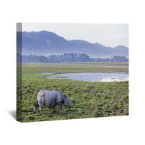 One Horned Rhinoceros In Kaziranga National Park Wall Art 62390743