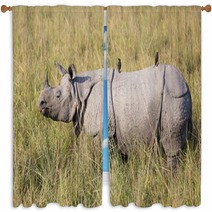 One Horned Rhinoceros In Kaziranga National Park Window Curtains 62326846