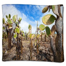Opuntia Cactus Foreat At Galapagos Island Blankets 52119639