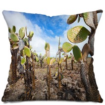 Opuntia Cactus Foreat At Galapagos Island Pillows 52119639