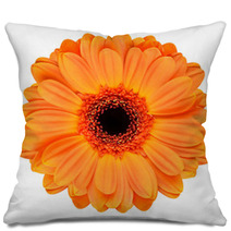 Orange Gerbera Flower Isolated On White Pillows 53510902