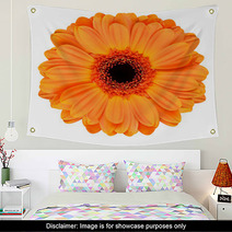 Orange Gerbera Flower Isolated On White Wall Art 53510902
