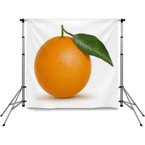 Orange Illustration Backdrops 11313277