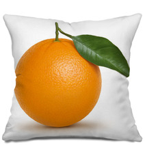 Orange Illustration Pillows 11313277