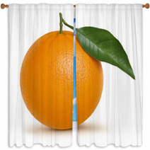 Orange Illustration Window Curtains 11313277