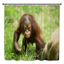 Orangutan baby Bath Decor 84244689