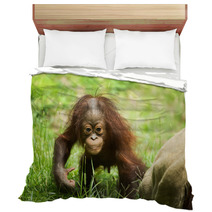 Orangutan baby Bedding 84244689