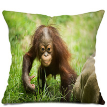 Orangutan baby Pillows 84244689