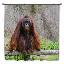 Orangutan Bath Decor 58663736