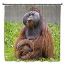 Orangutan Bath Decor 74398113