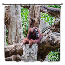 Orangutan Bath Decor 91080846