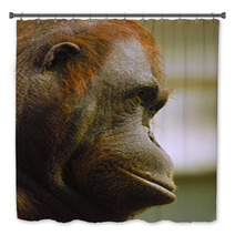 Orangutan Bath Decor 97496460