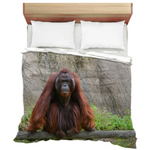 Orangutan Bedding 58663736