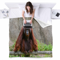 Orangutan Blankets 58663736