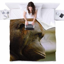 Orangutan Blankets 97496460