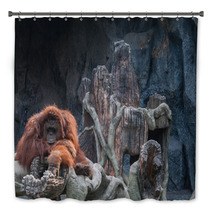 Orangutan Lying On The Rock Bath Decor 86489434