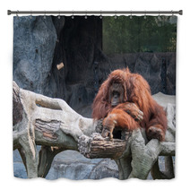 Orangutan Lying On The Rock Bath Decor 89897277