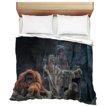 Orangutan Lying On The Rock Bedding 86489434