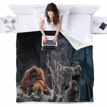 Orangutan Lying On The Rock Blankets 86489434