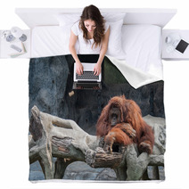 Orangutan Lying On The Rock Blankets 89897277