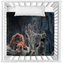 Orangutan Lying On The Rock Nursery Decor 86489434
