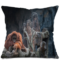 Orangutan Lying On The Rock Pillows 86489434