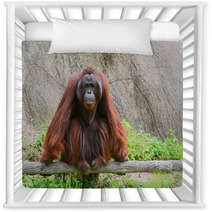 Orangutan Nursery Decor 58663736