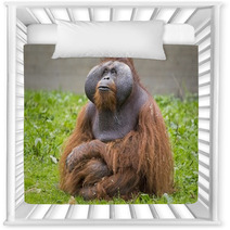 Orangutan Nursery Decor 74398113