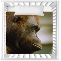 Orangutan Nursery Decor 97496460