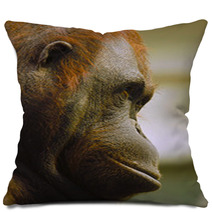 Orangutan Pillows 97496460