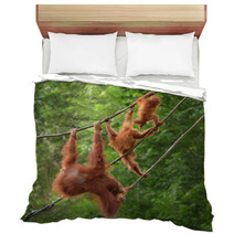 Orangutangs In Funny Poses Walking On A Rope Bedding 82988580