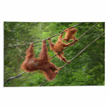 Orangutangs In Funny Poses Walking On A Rope Rugs 82988580