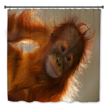 Orangutans Bath Decor 5862946