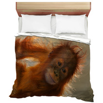 Orangutans Bedding 5862946