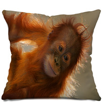 Orangutans Pillows 5862946