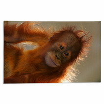 Orangutans Rugs 5862946