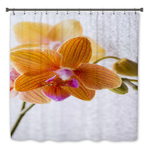 Orchid. Bath Decor 72605027
