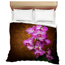 Orchid Bedding 48075175