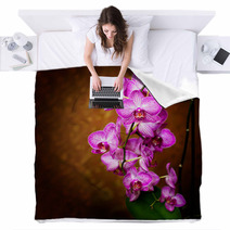 Orchid Blankets 48075175