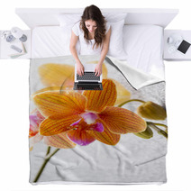 Orchid. Blankets 72605027