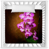 Orchid Nursery Decor 48075175