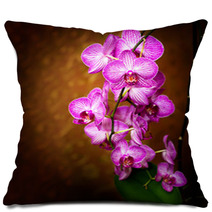 Orchid Pillows 48075175