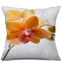 Orchid. Pillows 72605027