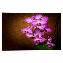 Orchid Rugs 48075175