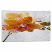 Orchid. Rugs 72605027