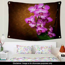 Orchid Wall Art 48075175