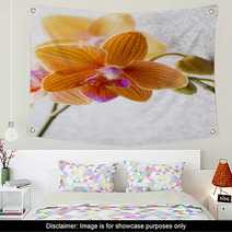 Orchid. Wall Art 72605027
