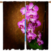 Orchid Window Curtains 48075175