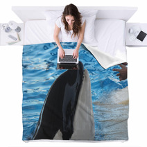 Orcinus Orca Blankets 60257355