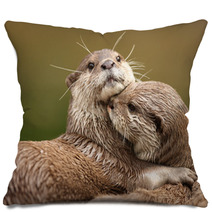 Oriental Short-Clawed Otters Cuddling Pillows 34028372